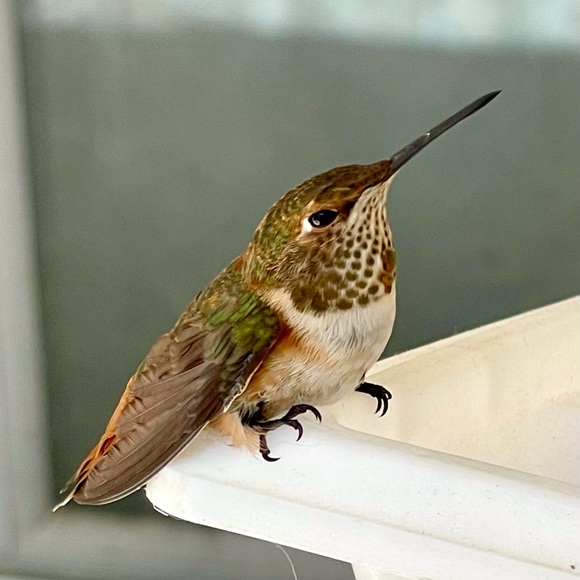 Meet your Posher, Paul - Picture 13 of 14